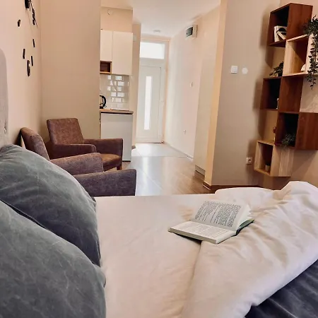 Apartment Old Gold Downtown Belgrade